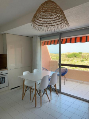 Mon Petit Paradis, vue sur dunes et mer, accès direct plage Robinson, terrasse, parking privé, très ressourçant, à Marseillan Plage
